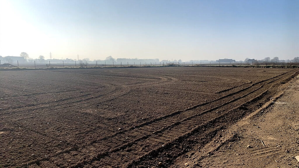 Site preparation and concrete debris removal